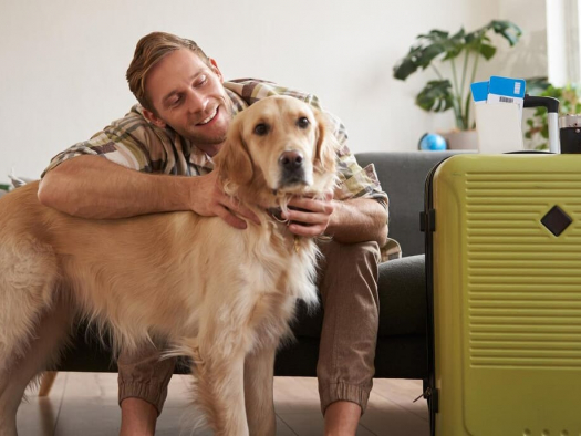 How to Prepare Your Pet for International Travel: Documents, Certificates & Tips
